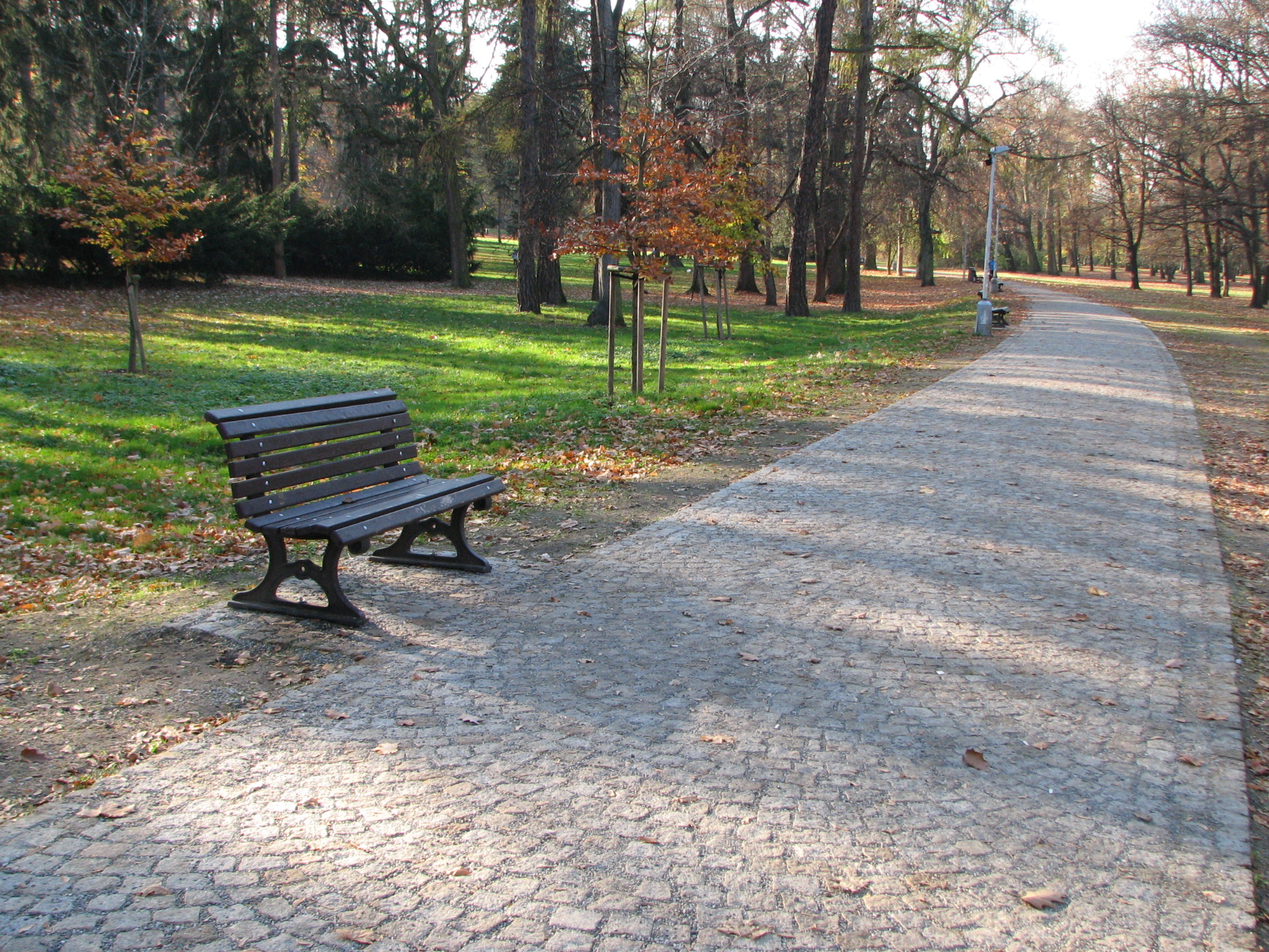 Praha obnovuje Stromovku, opravuje cesty, instaluje lavičky