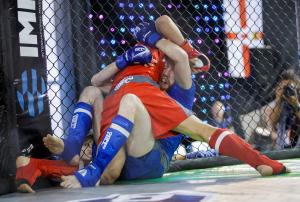 MMA_2016_Kozak_75