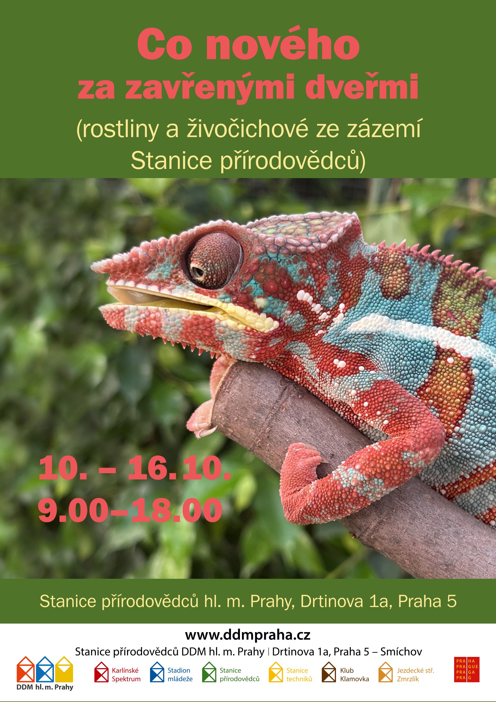 3481737_Plakát výstavy