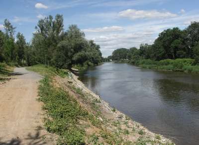 podél berounky vede pohodlná mlatová cesta