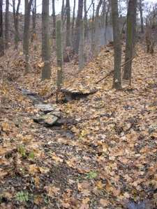 Pražské studánky - Pod Krellovou studánkou - fotogalerie