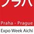 expo aichi